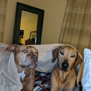 Meet your Posher, Joseph